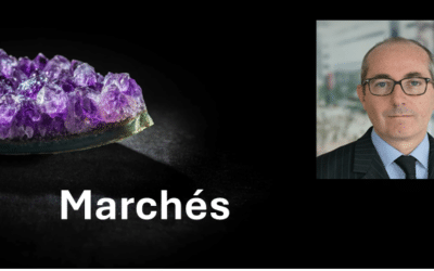 Micro force, macro fragilité